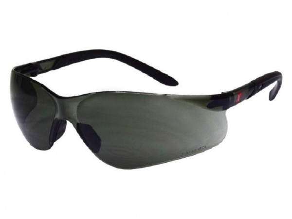 Schutzbrille VISION PROTECT, mit dunkel getönten Scheiben.